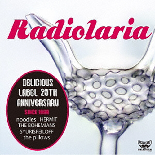 アルバム『Radiolaria』／V.A.