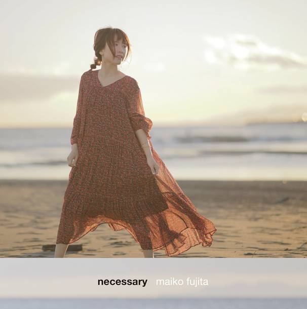アルバム『necessary』【完全限定生産盤】（CD+DVD+グッズ）